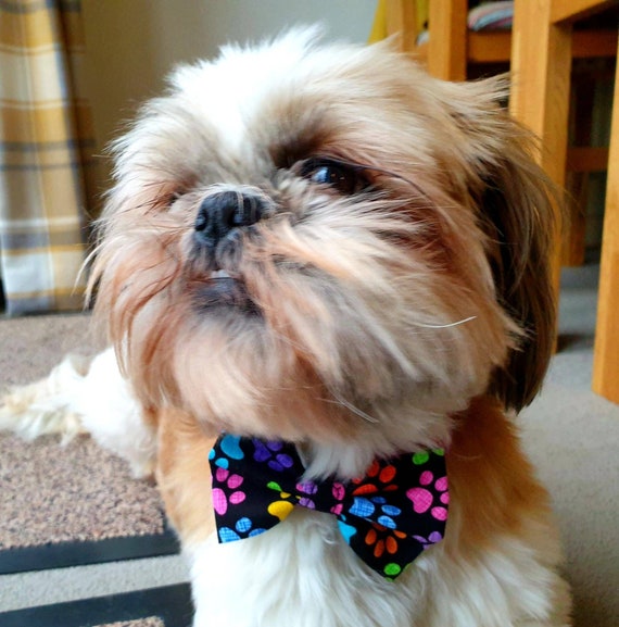 Etsy dog bow tie hotsell