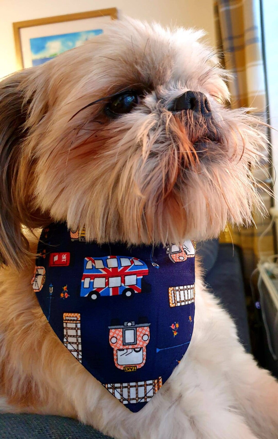 Dog Bandana. London Transport Design. 2 Sizes. Etsy UK