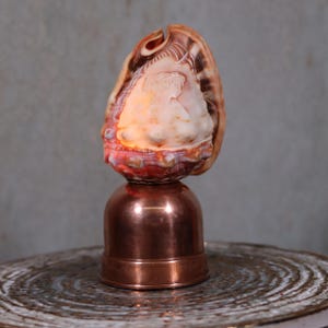 Cameo shell lamp - Etsy 日本