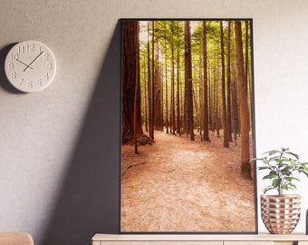 Printable Landscape Photography Décor with Country Connection - Redwood Forest, Instant Download, Large Wall Art Print of Outdoor Nature
