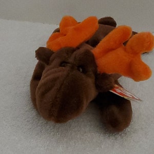 Ty Original Beanie Baby -Chocolate the Moose