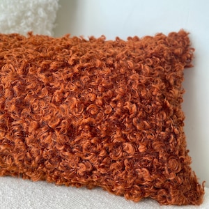 May include: A rust-colored, fluffy throw pillow with a curly, textured surface.