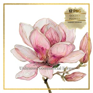 Puede incluir: Una ilustración digital de una flor de magnolia rosa con pétalos delineados en oro, que presenta una flor central y dos capullos cerrados en un tallo. La imagen incluye el texto 12 PNG GOLDEN FLOWER TRANSPARENT BACKGROUND y Unlimited commercial license.