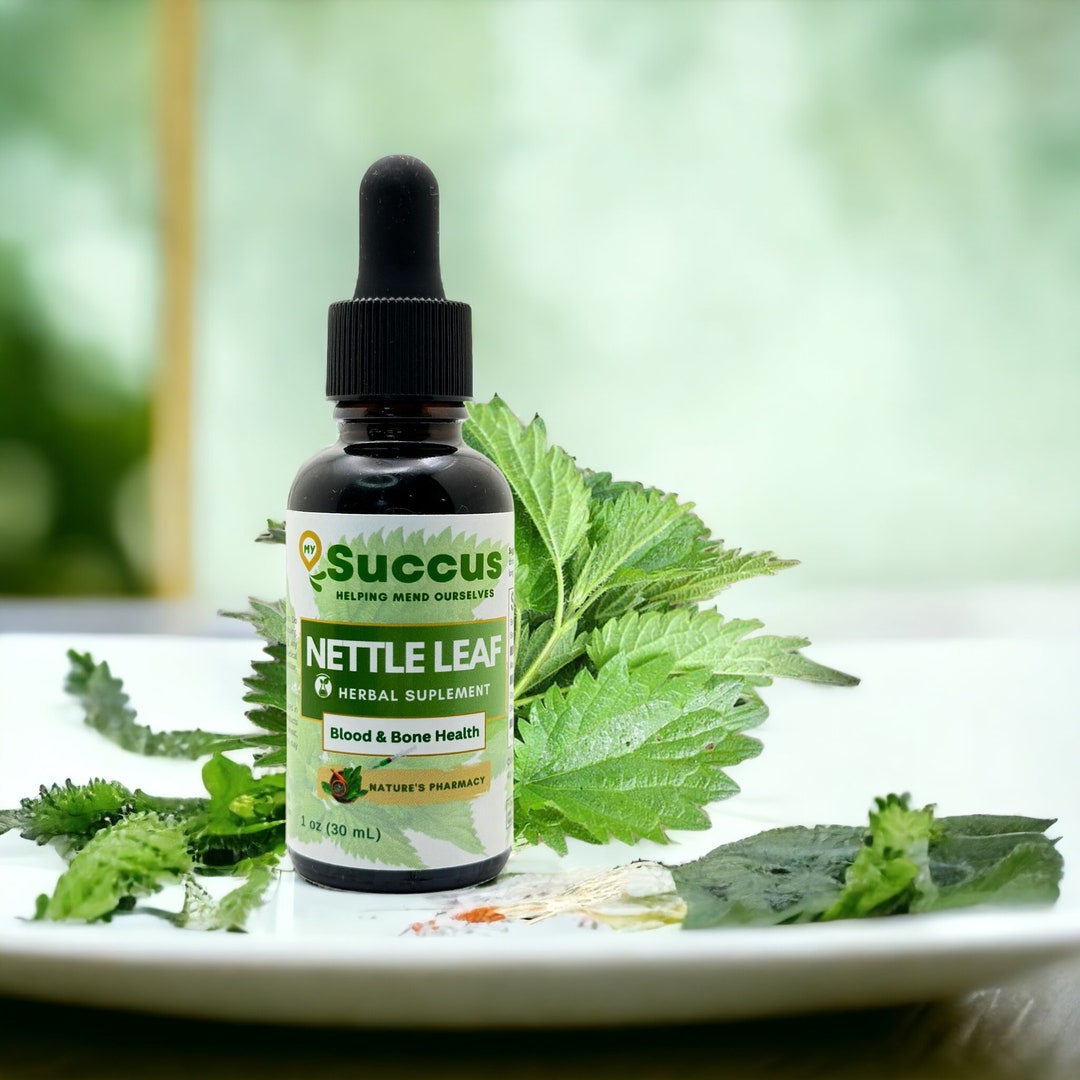 Nettle Leaf Tincture Blood and Bone Health Etsy