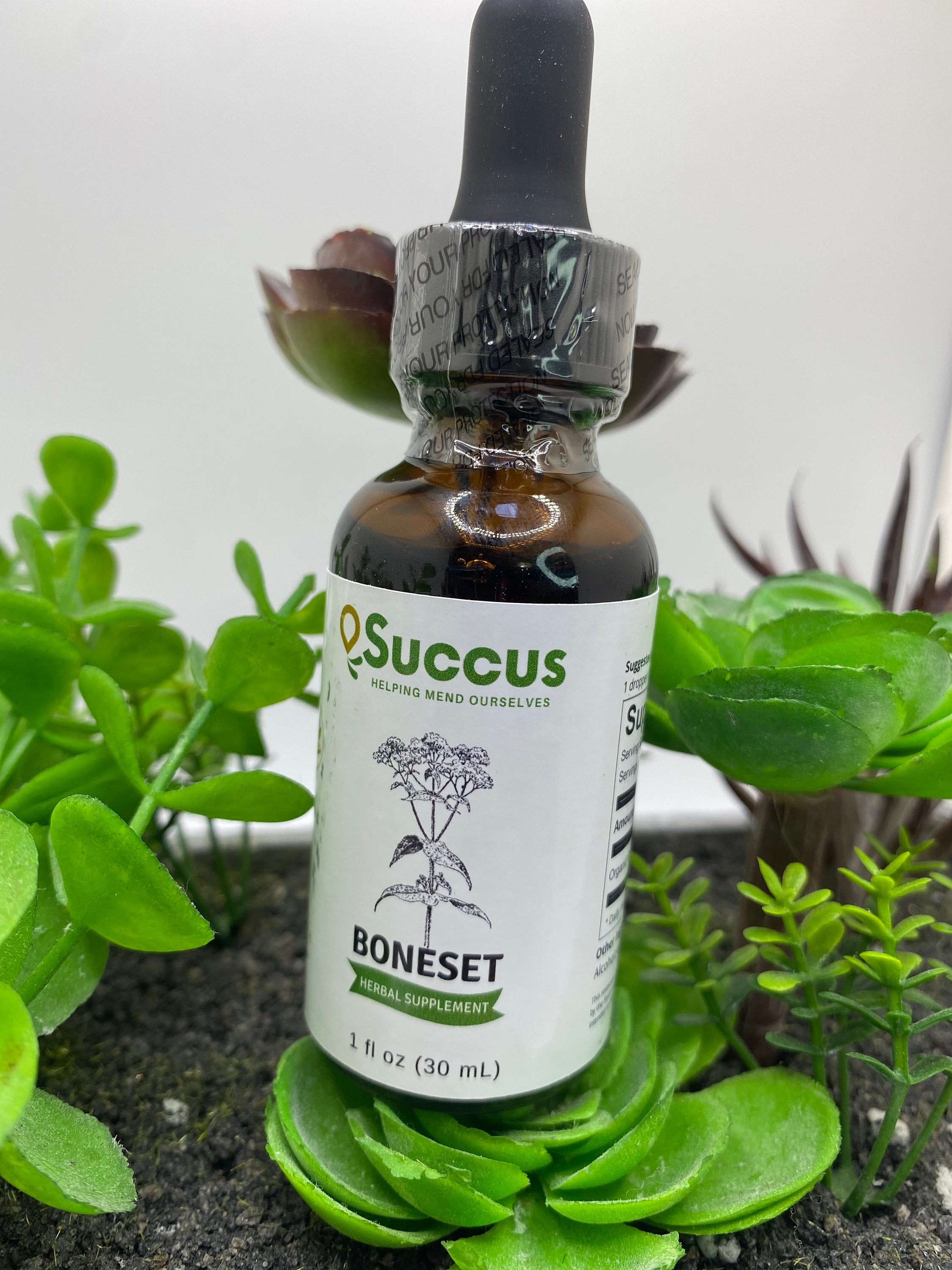 What Does Green Tea Essential Oil Smell Like? Sight Kitchen