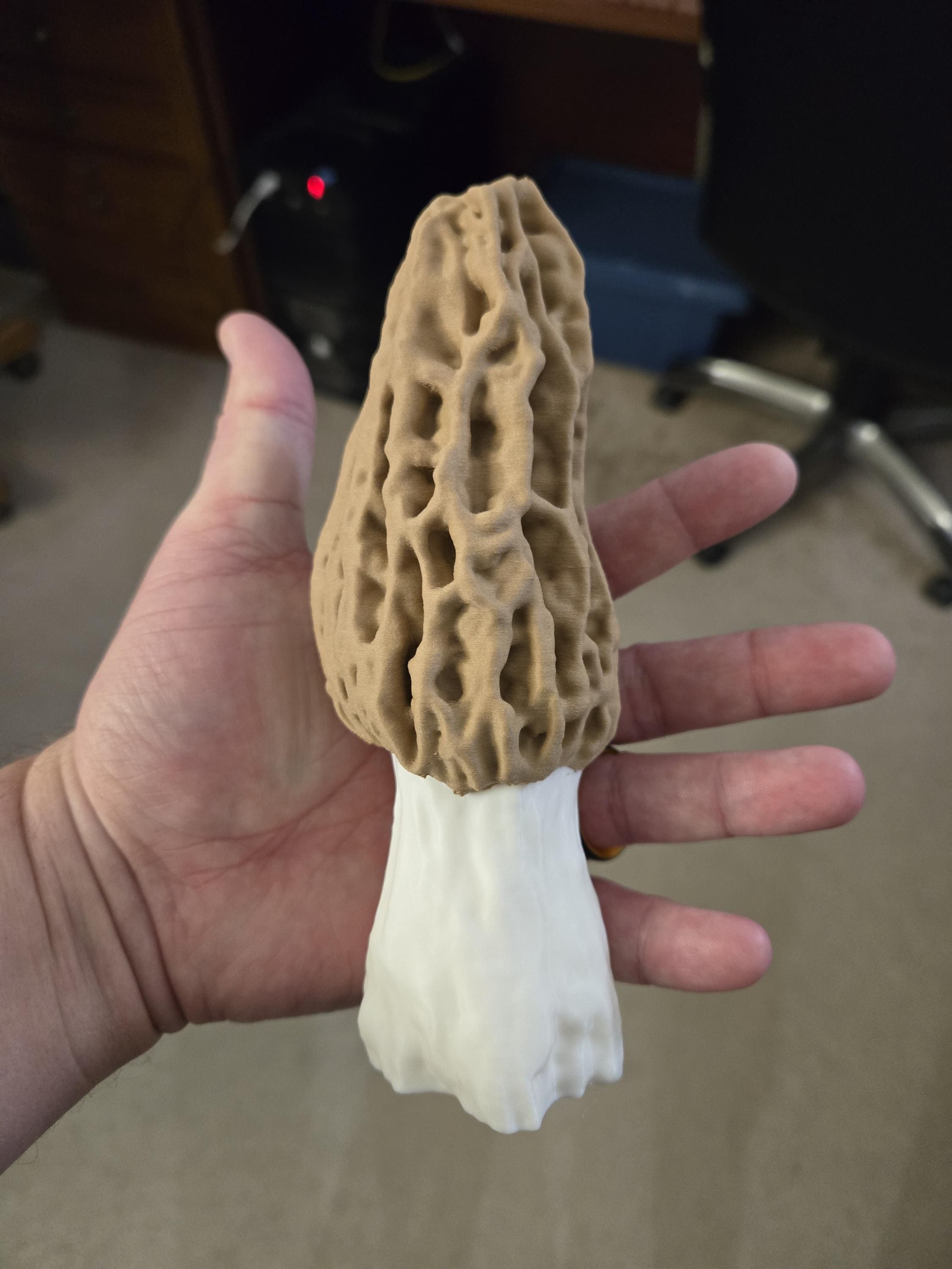 A hand holding the 6.5-inch morel mushroom print, which has a tan, deeply pitted cap and a white stem.