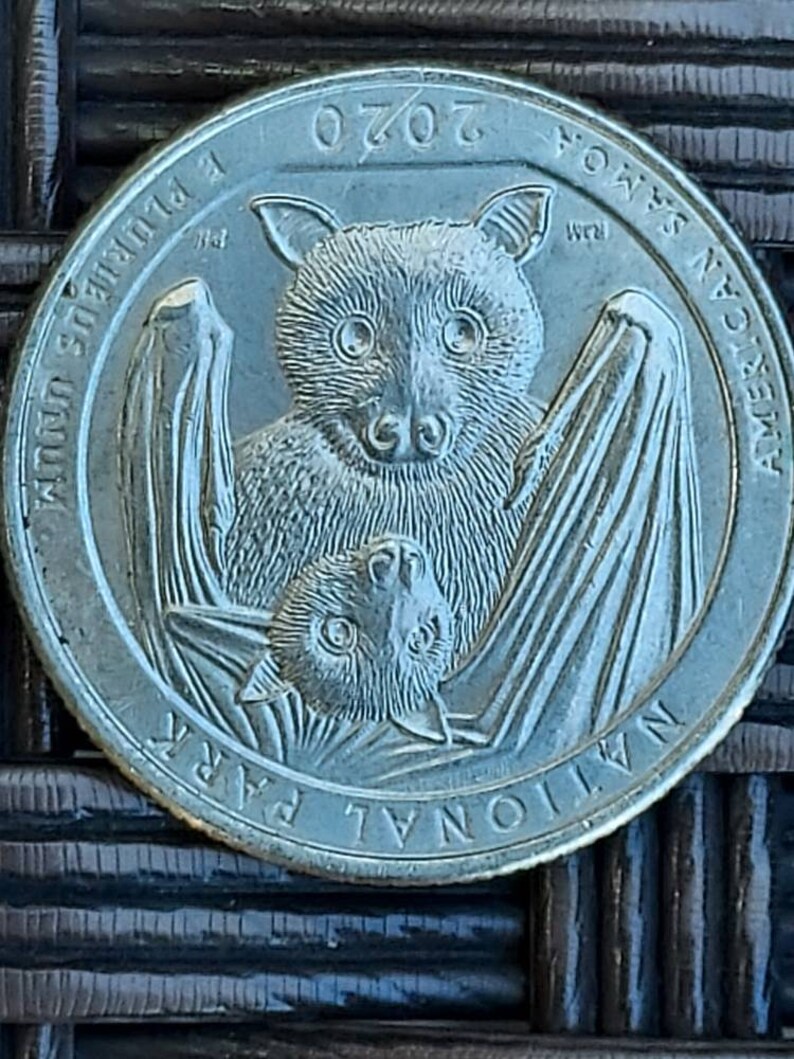 2020 Bat Quarter Dollar Etsy