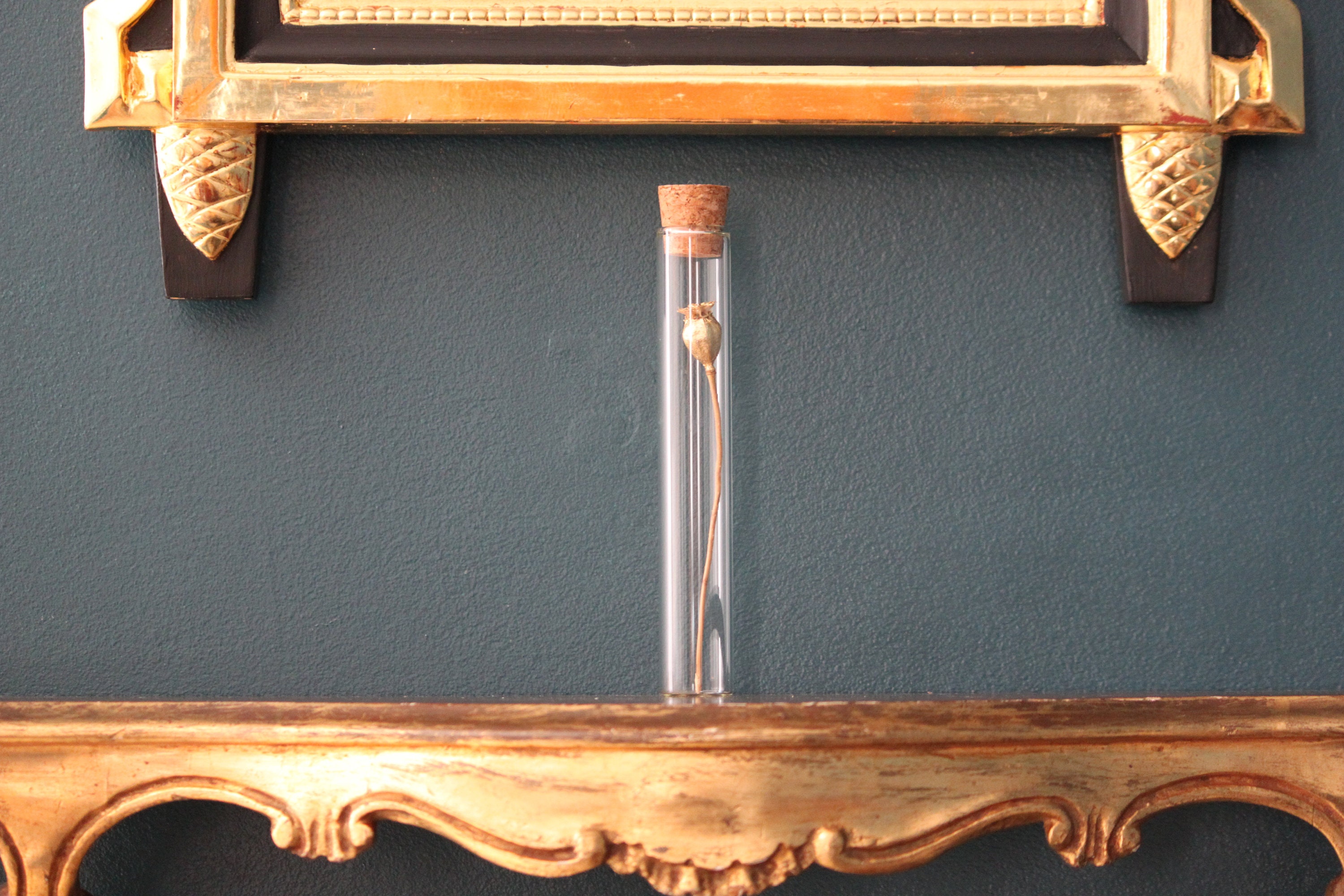 Fleur de Pavot Dorée