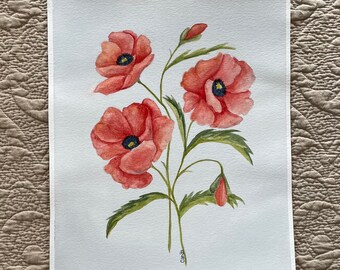 Poppies