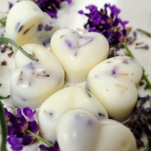 Let's Meditate, Lavender and Frankincense Soy and Coconut Wax Melts, Essential Oils, Botanicals, 100% Natural, Vegan and Cruelty Free
