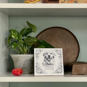 May include: A memorial tile featuring a smiling dog portrait, surrounded by floral designs. The tile includes the name "Shadow" and dates 2019-2026, with the text "You brought so much love into our hearts." A small, red decorative apple and a potted plant are also visible.