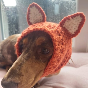 The Foxy!