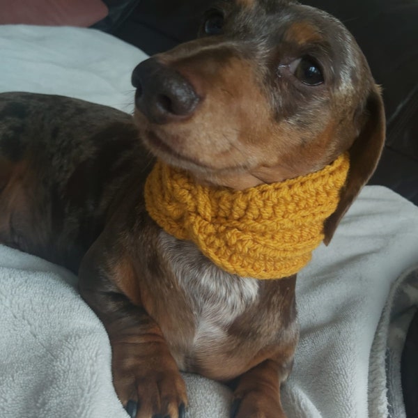 Chunky Twist - Match your owner snood!