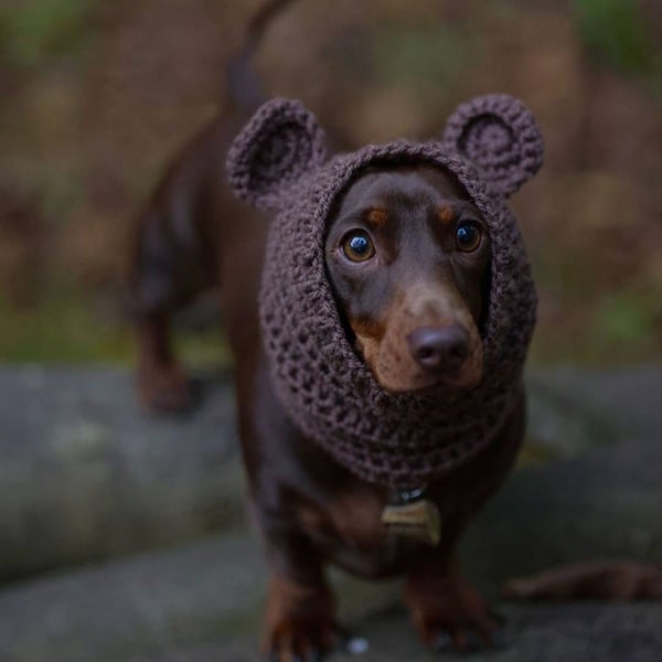 Bear dog snood