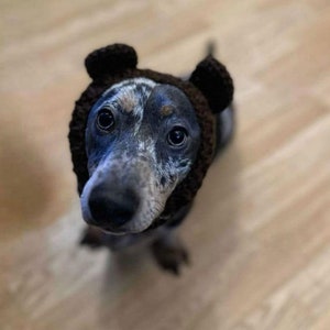 Bear dog snood image 9