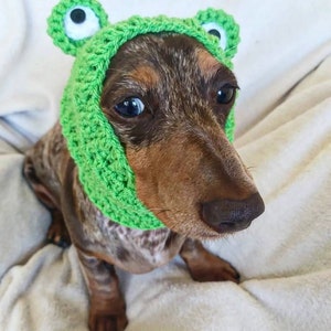 Frog dog snood