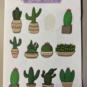 Cactus