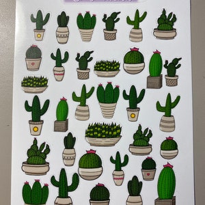Mini Cactus