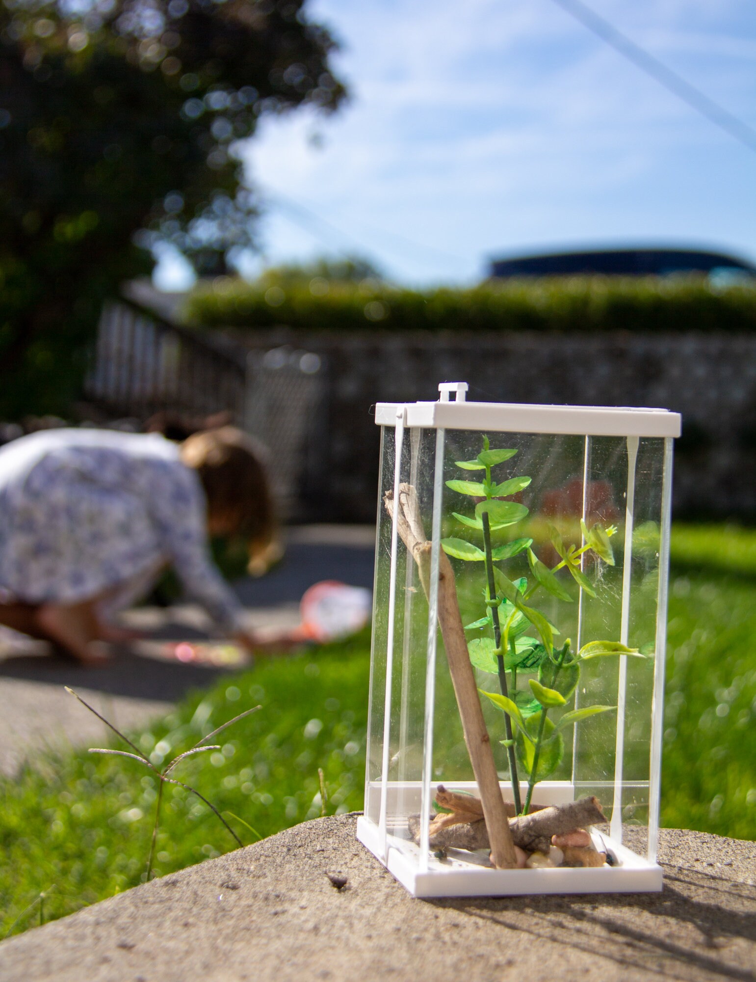 FULL KIT: Jumping Spider Habitat and Care Kit 3D Printed - Etsy