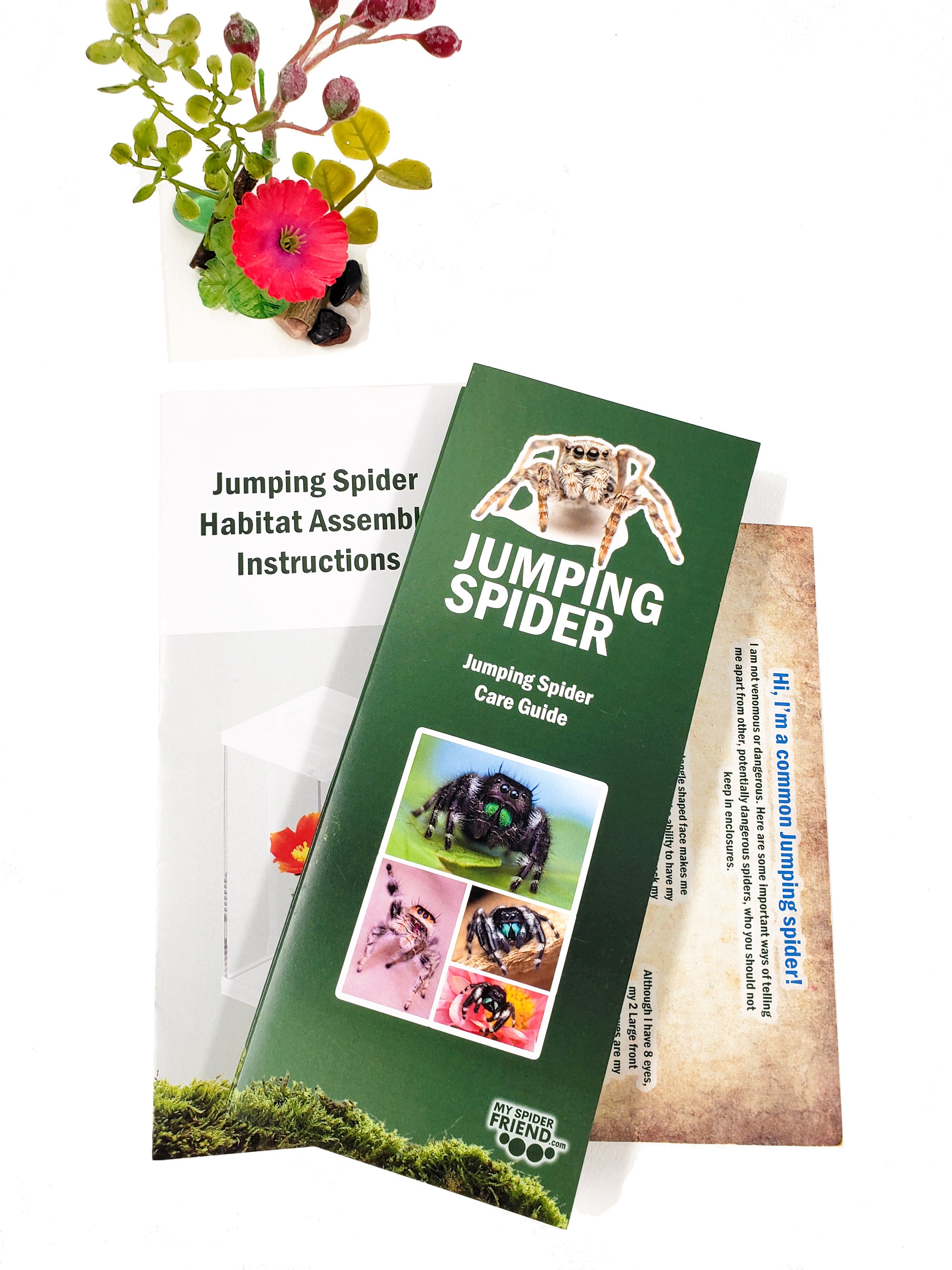FULL KIT: Jumping Spider Habitat and Care Kit 3D Printed - Etsy
