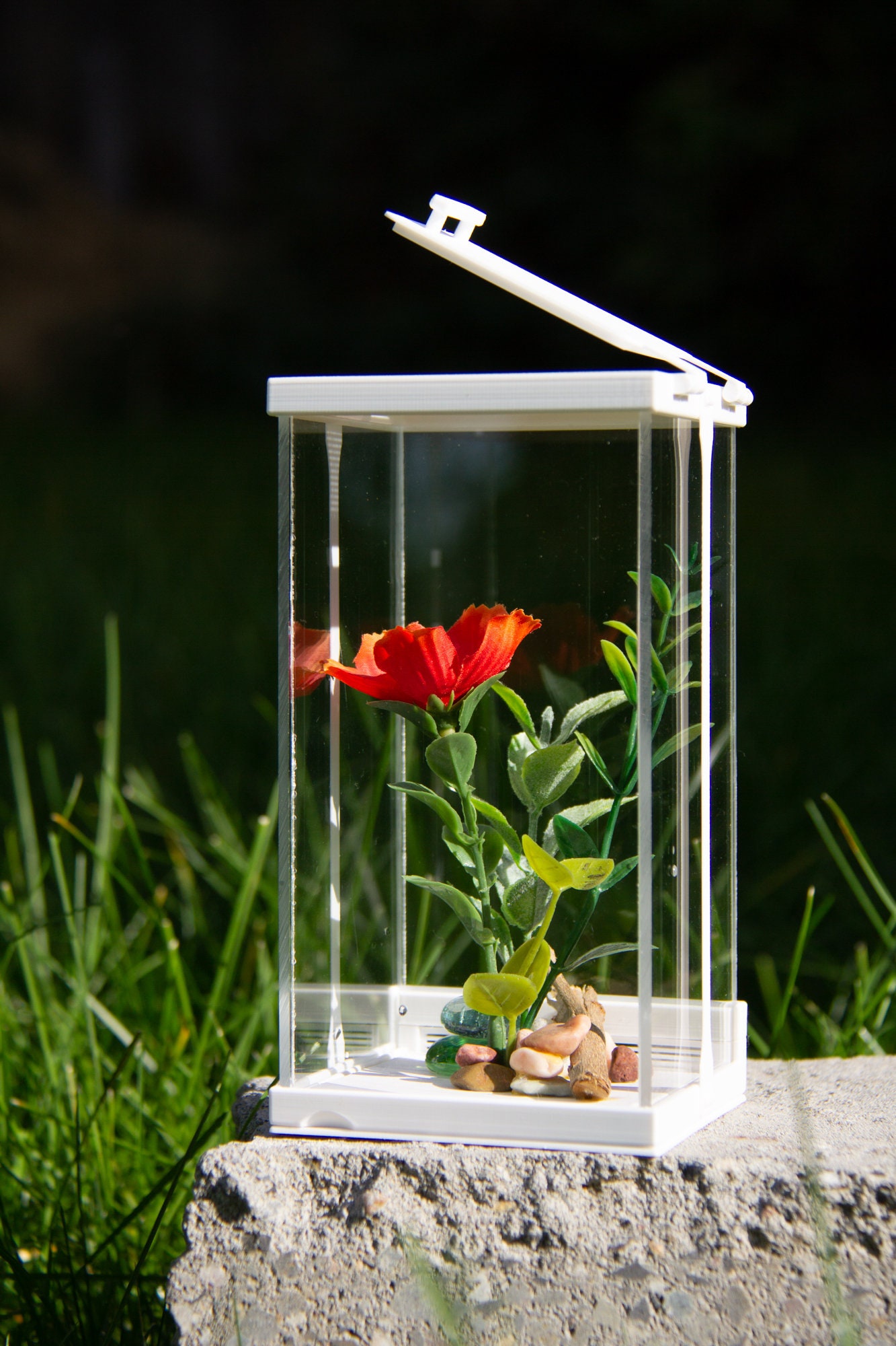 FULL KIT: Jumping Spider Habitat and Care Kit 3D Printed - Etsy