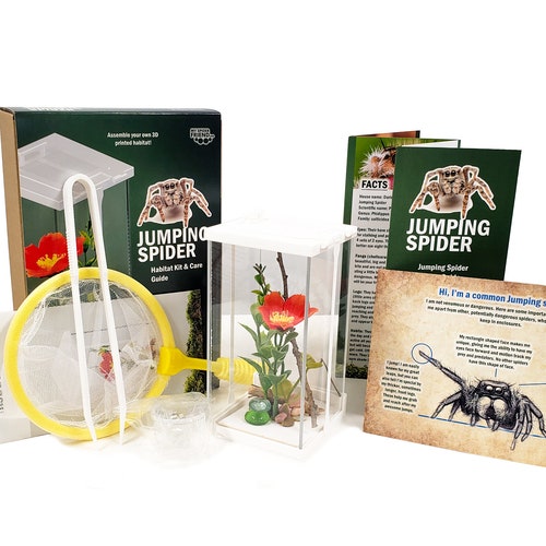 FULL KIT Jumping Spider Habitat and Care Kit 3D Printed Etsy UK