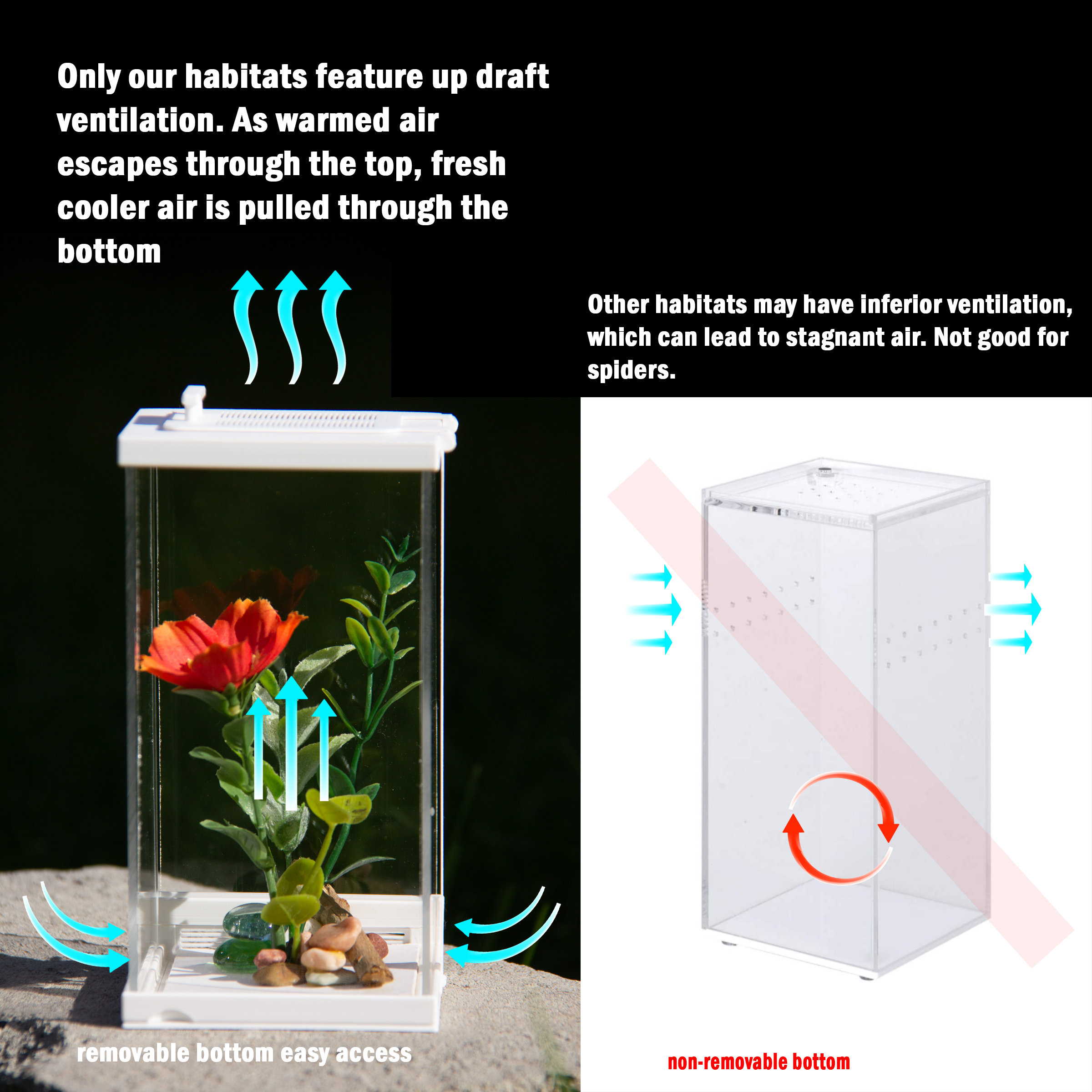 FULL KIT: Jumping Spider Habitat and Care Kit 3D Printed - Etsy