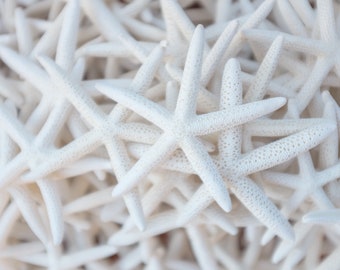 White Finger Pencil Starfish Size 3-4", Beach and Wedding Decor, Gift, Crafting, DIY Crafts