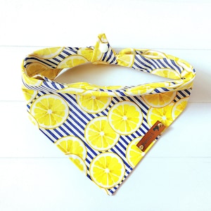 Lemon Dog Bandana Lemon Slices Lemon dog scarf Pet Bandana Tie & Snap  Bandana, Puppy Bandana Summer Bandana Puppy Gift Dog Mom Yellow Blue