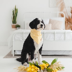 Yellow Dog and Cat Bandana BOHO Dog Bandana Summer Dog Bandana Tie & Snap Bandana Starburst Dog Bandana Puppy Gift Dog Scarf Dog Clothes