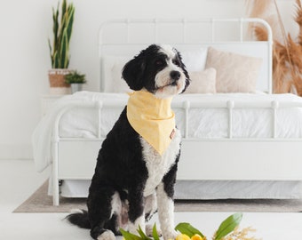 Yellow Starburst Dog Bandana: Boho Tie & Snap Cotton Scarf