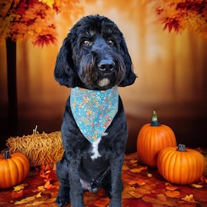 Bandana otoñal para perros Bandana otoñal con estampado floral para perros Bandana con lazo y broche Bandana verde azulado Regalo para cachorros Bufanda para cachorros Bufanda para perros de Acción de Gracias Bufanda para gatos
