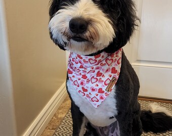 Hunde-Bandana Zum Valentinstag – Rosa/rote Herzen, Verstellbar, Für Alle Größen