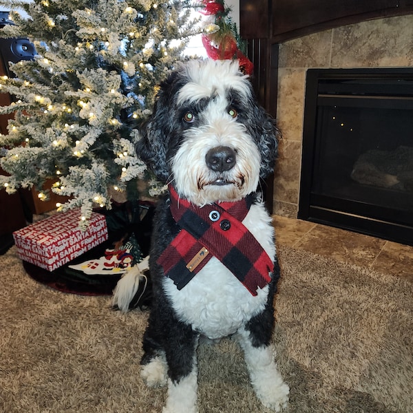 Red Christmas Fleece Scarf For Dogs Buffalo Check Dog Scarf Red & Black Plaid Fleece Dog and Scarf Puppy Gift Dog Clothes Winter Scarf Puppy