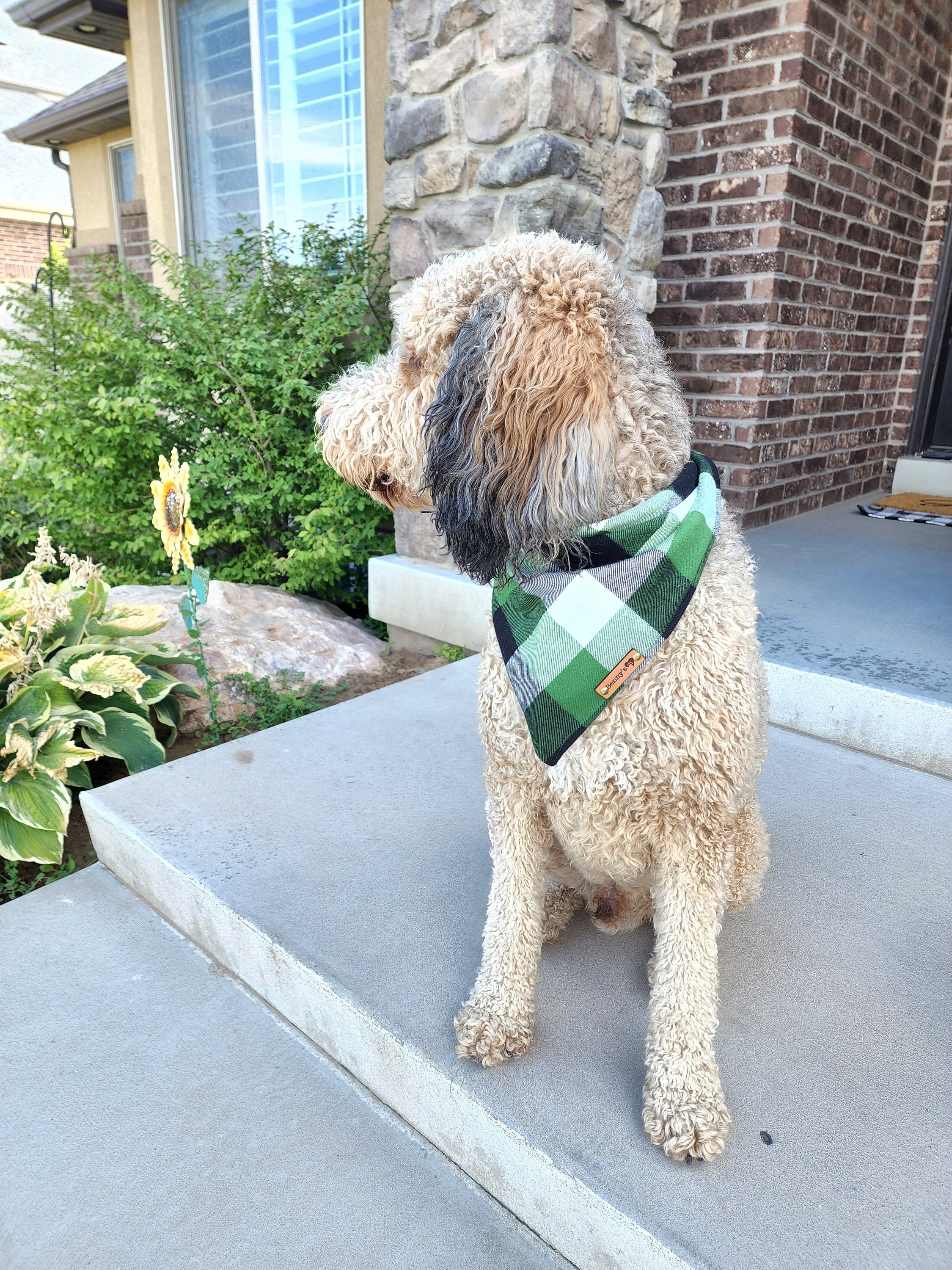 Dog Bandana Green Dog Bandana Green Check Flannel Dog Etsy