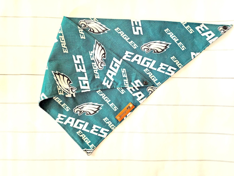 May include: Green and white bandana with a repeated pattern of the Philadelphia Eagles logo and the word "Eagles".