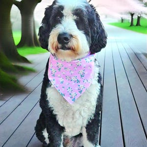 Pink Floral Dog Bandana Spring Dog Bandana  Tie & Snap Bandana Girl Dog Bandana Puppy Gift Floral Dog Scarf Dog Cat Scarf Easter  Bandana