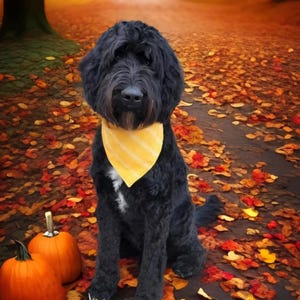 Fall  Dog Bandana, Yellow Bandana Puppy Bandana, Cat Scarf  Tie and Snap Dog Bandana Cotton Dog Bandana Dog Neckerchief Dog Scarf Puppy Gift
