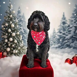 Christmas Dog Bandana, Christmas Tree Dog Bandana, Red Dog Bandana, Tie & Snap Dog Bandana, Xmas Dog Scarf,  Puppy Gift, Christmas Cat Scarf