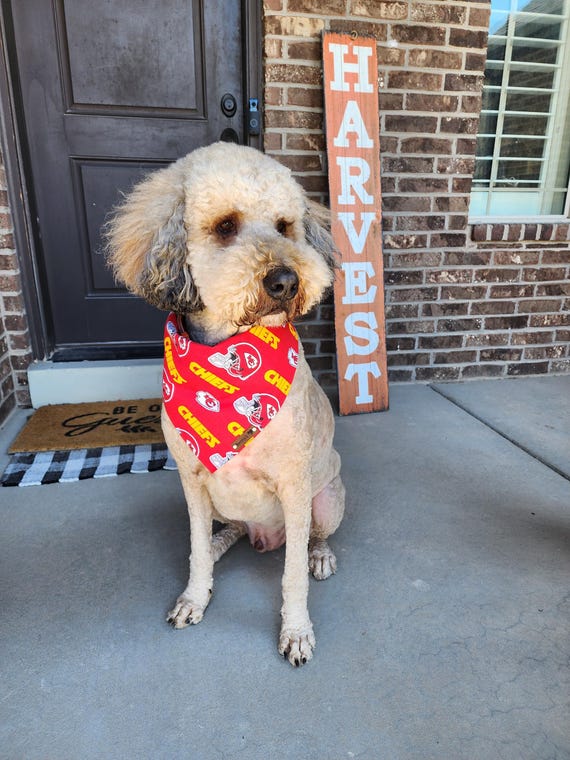 Vest Anxiety Chiefs Dog Shirt KMBC Chiefs Fans Come In All Shapes