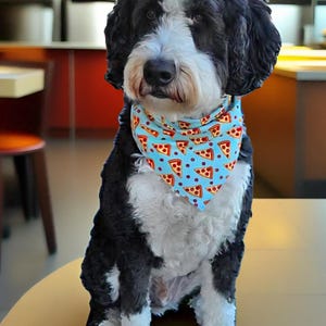 Pizza Dog or Cat Bandana, Pizza Party Dog Scaf,  Tie & Snap Bandana, Pizza Lovers Dog Bandana, Pizzas on Aqua Pet Bandana, Cute Dog Bandana