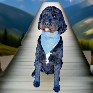 Blue Dog and Cat Bandana, Crosshatch Dog Bandana, Summer Dog Bandana, Tie & Snap Bandana, Male Dog Bandana, Puppy Gift, Blue Cat Scarf