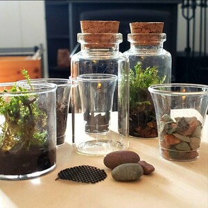Mini Terrarium Kit ~ Live Moss (25mL)