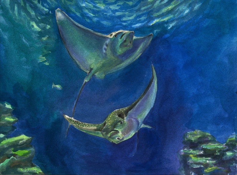 Stingrays original print from a watercolor painting Original Watercolor