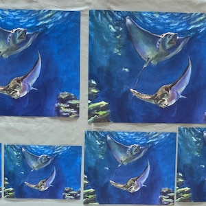 Stingrays, the various print variations available