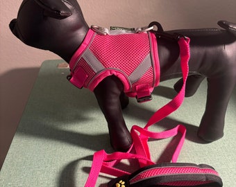 Harness and leash set