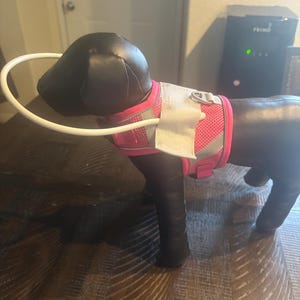 Blind Dog Harness