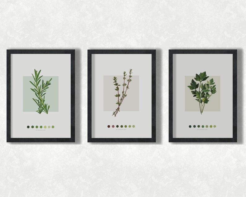 Kitchen Herbs Wall Art / Set of 3 Watercolour Art Prints / Dinning Room ...