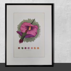 Hummingbird Art Print - Aquarel / Woonkamer / Nursery Art / Limited Edition Hand gesigneerde print van kolibrie aquarel tekening