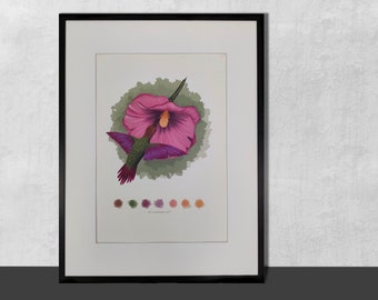 Hummingbird Art Print - Watercolour / Living Room/ Nursery Art / Limited Edition Hand Signed Print of Hummingbird Watercolor Drawing